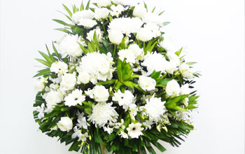 54870d14c7659b256928b827_condolence3_t.jpg