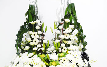 54870d34c7659b256928b82f_condolence5_t.jpg