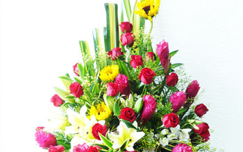 54870db879eeac7262a3b0c3_opening5_t.jpg