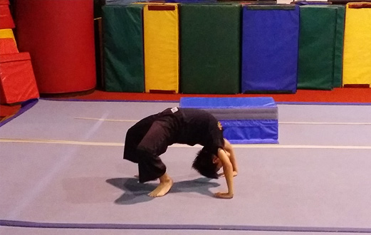 541a51b9c42f775924360699_wushu.jpg?v=241232324