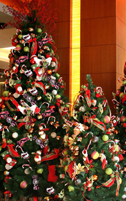 54b6043ea1dc10190edcec52_christmas-15.jpg