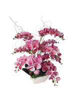 54b607e89120f51c0ea5ab50_orchid-4.jpg