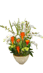54b60dfb2c1b17947a192118_vase-5.jpg