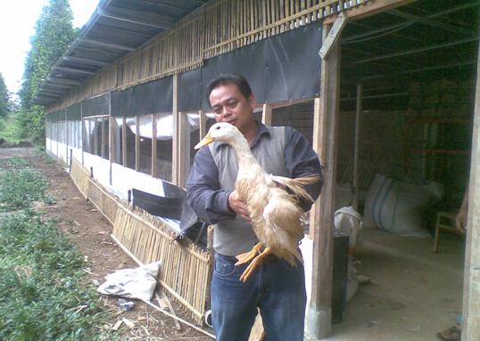 Edar Triatna & Bebek Peking