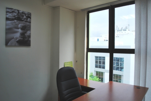 Suite 1 (Single Suite with Windows)