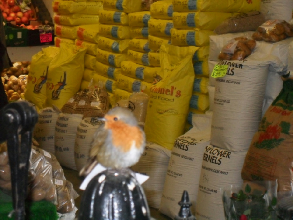 Wild Bird Food Shop Northern Ireland in Ireland United Kingdom