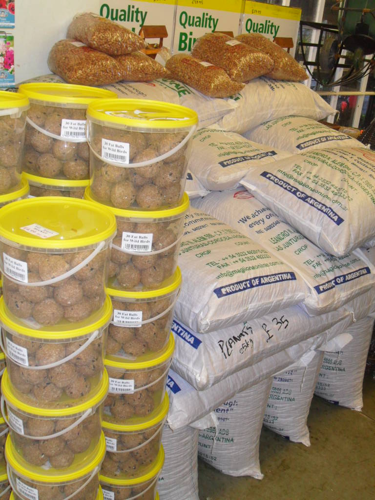 Wild Bird Food Shop Northern Ireland in Ireland United Kingdom