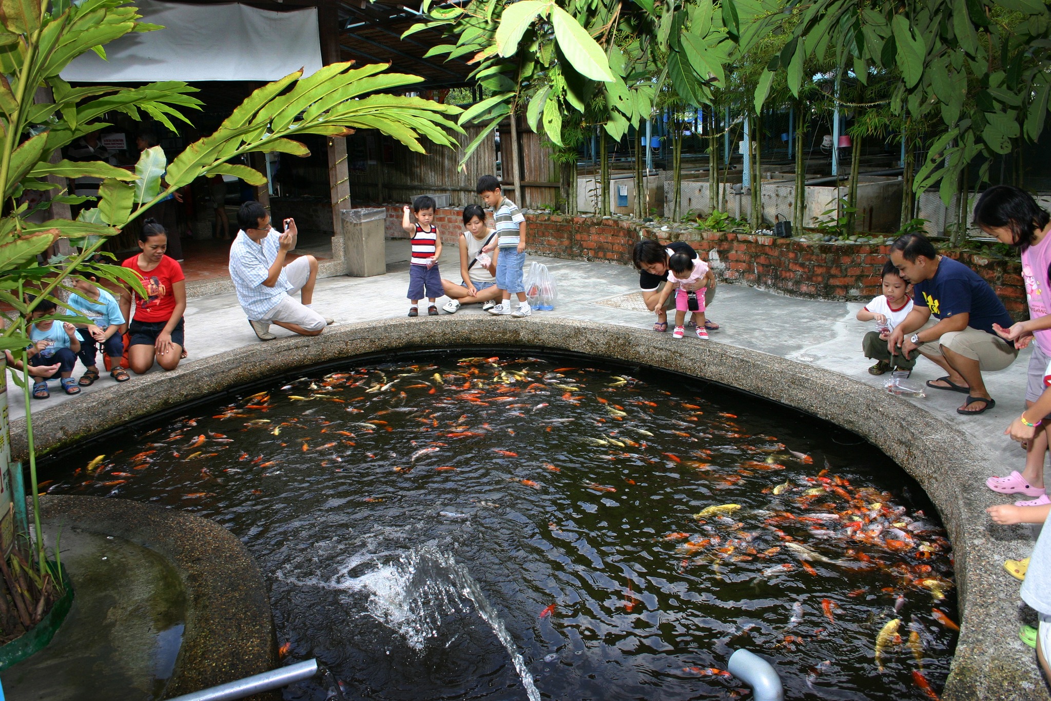 Qian Hu Fish Farm Trading