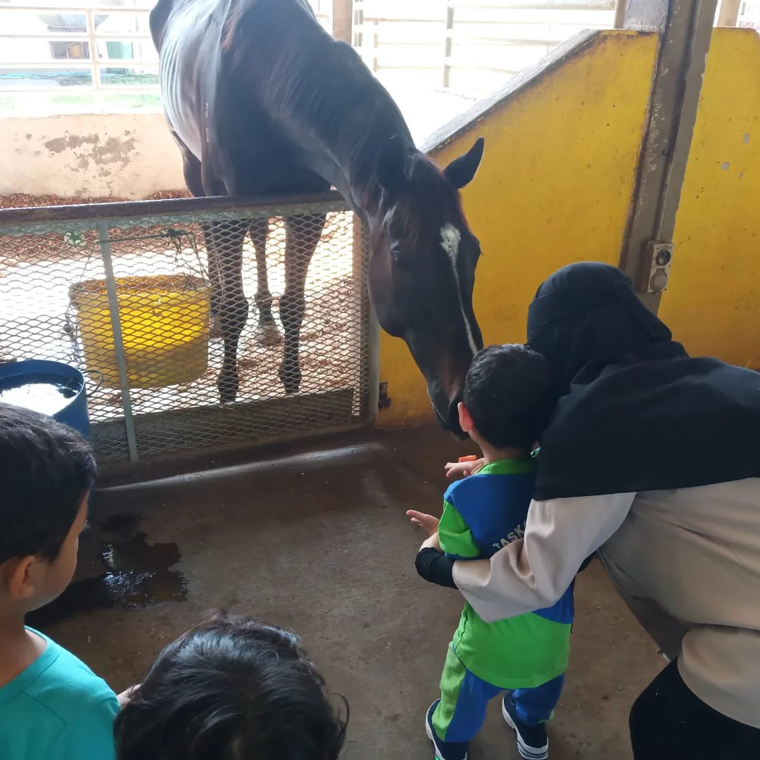 Nadi Equestrian Centre Johor Universiti Teknologi Malaysia (UTM