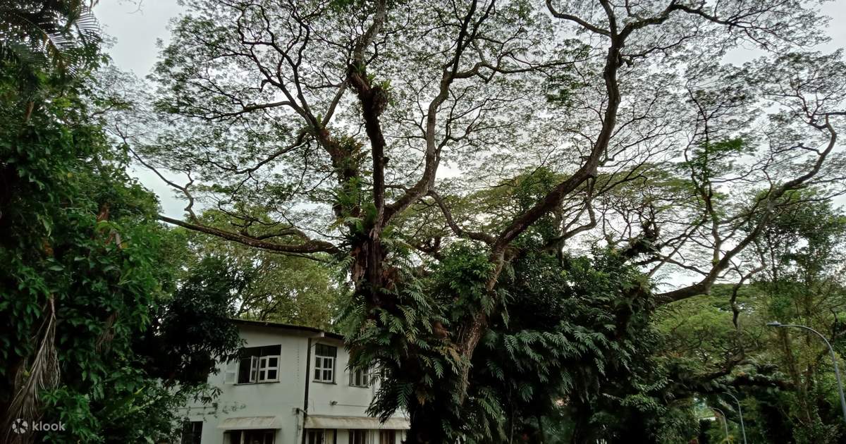 Why this hidden gem in town stole the spotlight faster than anyone saw