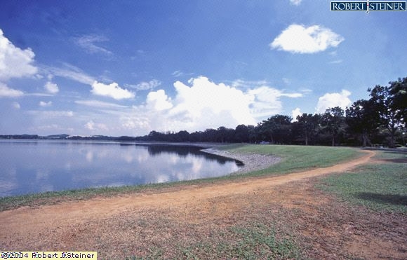 Bedok Reservoir Park, Reservoir View