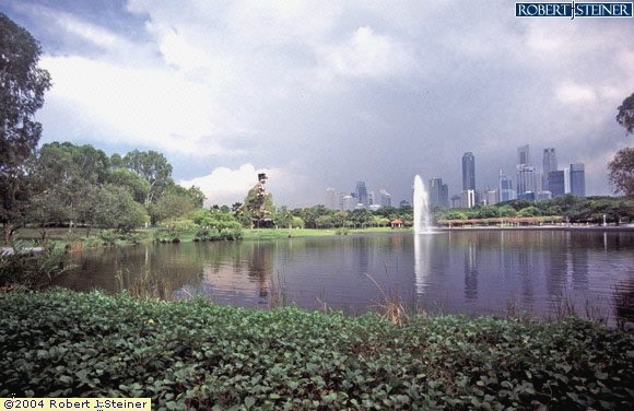 Marina City Park, Pond and CBD View
