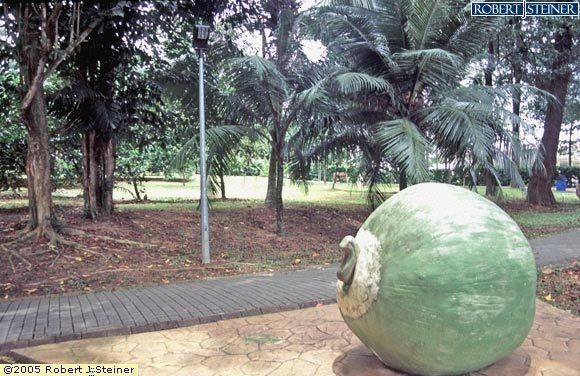 Yishun Park, Big Coconut